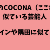 COCONA似てる芸能人