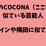 COCONA似てる芸能人